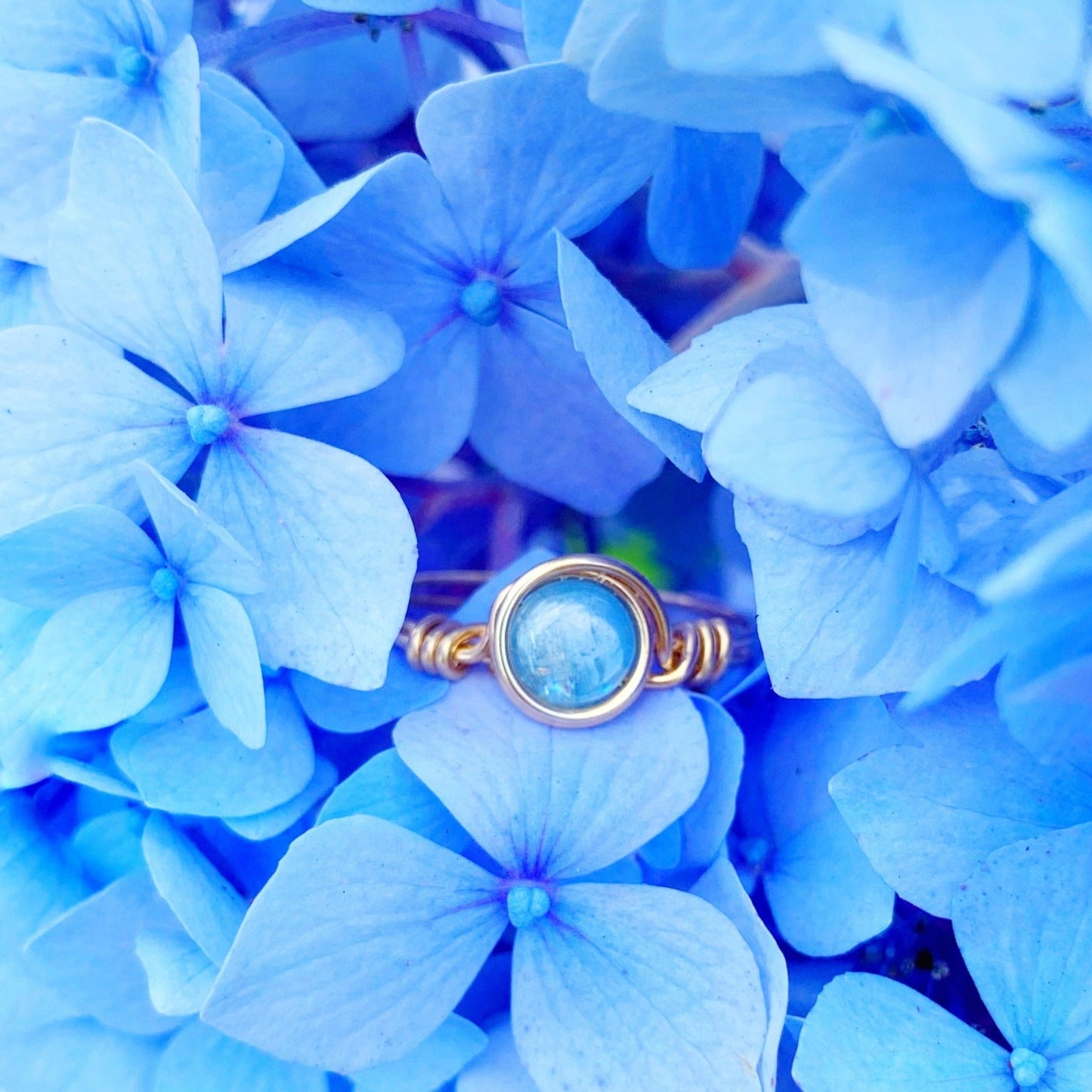 the brewster ring by mermaids and madeleines is a wire wrapped ring with a blue kyanite coin bead at the center wrapped in 14k gold filled wire. this ring is placed in a hydrangea and surrounded by blue blooms that match the stone.