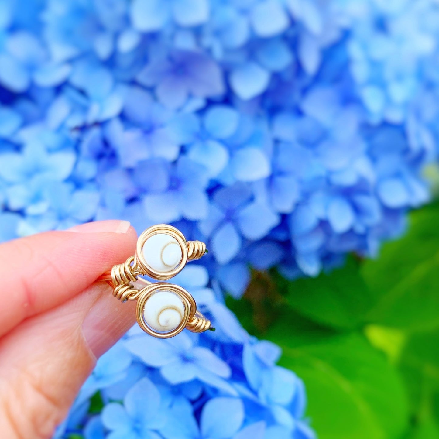 the mermaid money ring is a wire wrapped ring with a round coin shaped shiva shell at the center with 14k gold filled wire swirled around it to form a ring. this is an image of 2 of the rings held up between fingers with a bright blue hydrangea in the back grouned